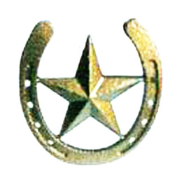 6” 3D Horsehoe star(DB)